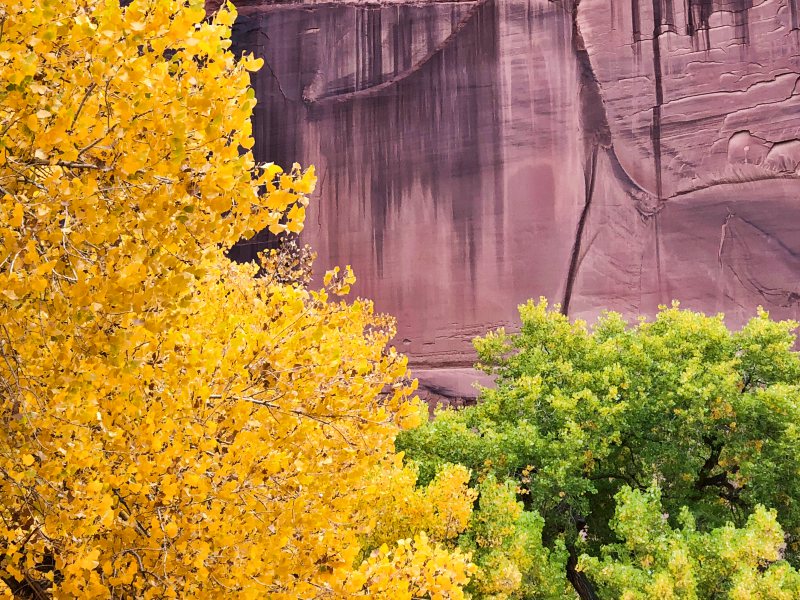 Canyon de Chelly